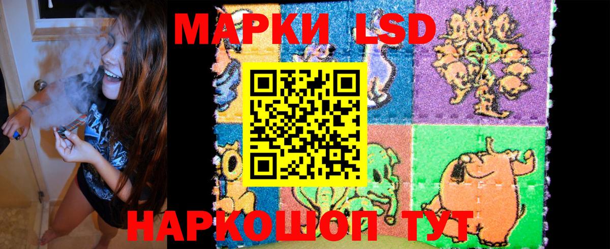 ТГК  A PVP СК   Купить  Меф МЯУ МЯУ кристаллы  MDMA  Камышин  НБОМе  МАРИХУАНА  Вход с VPN 