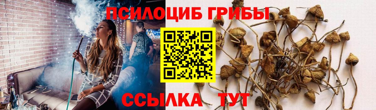 Галлюциногенные грибы MAGIC MUSHROOMS Камышин
